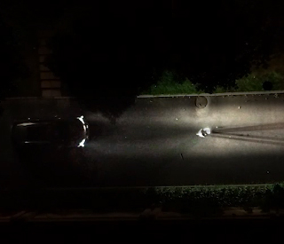 PA旗舰厅(中国区)官方网站-PA PlayAce
同理心——喂猫老人篇