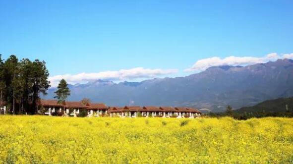 在最美的季节遇见你 PA旗舰厅(中国区)官方网站-PA PlayAce
“上山下海”体验行