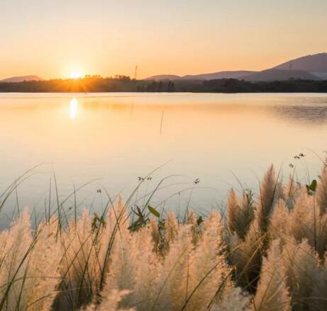 在最美的季节遇见你 PA旗舰厅(中国区)官方网站-PA PlayAce
“上山下海”体验行